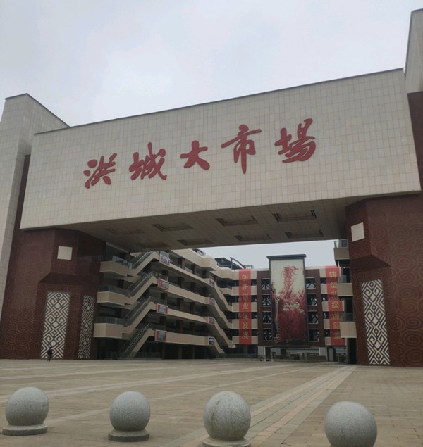 新洪城大市场工装项目